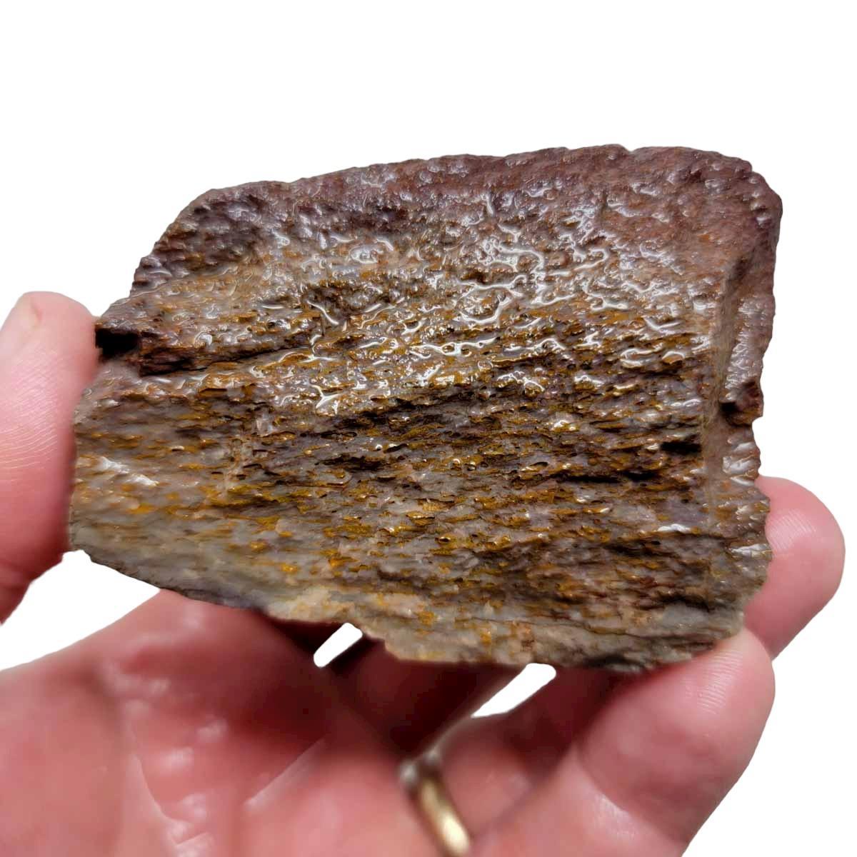 Fossilized Dinosaur Bone Rough Chunk - Ancient Display Specimen! #R158-Photo1