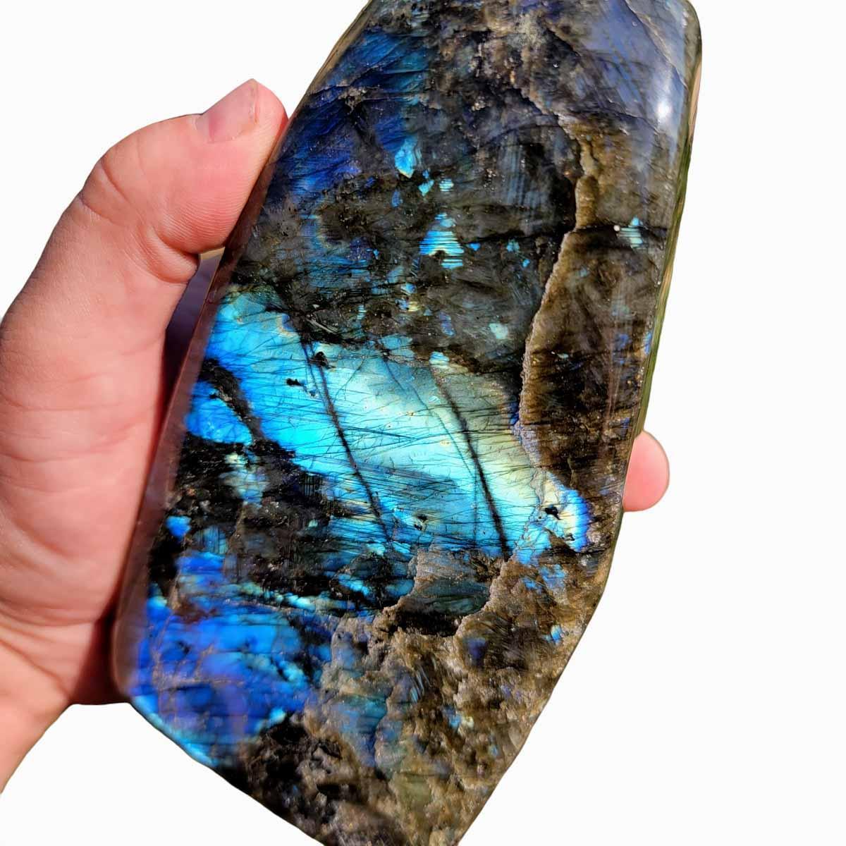 Polished AAA Labradorite Display Specimen! High Grade! - LapidaryCentral