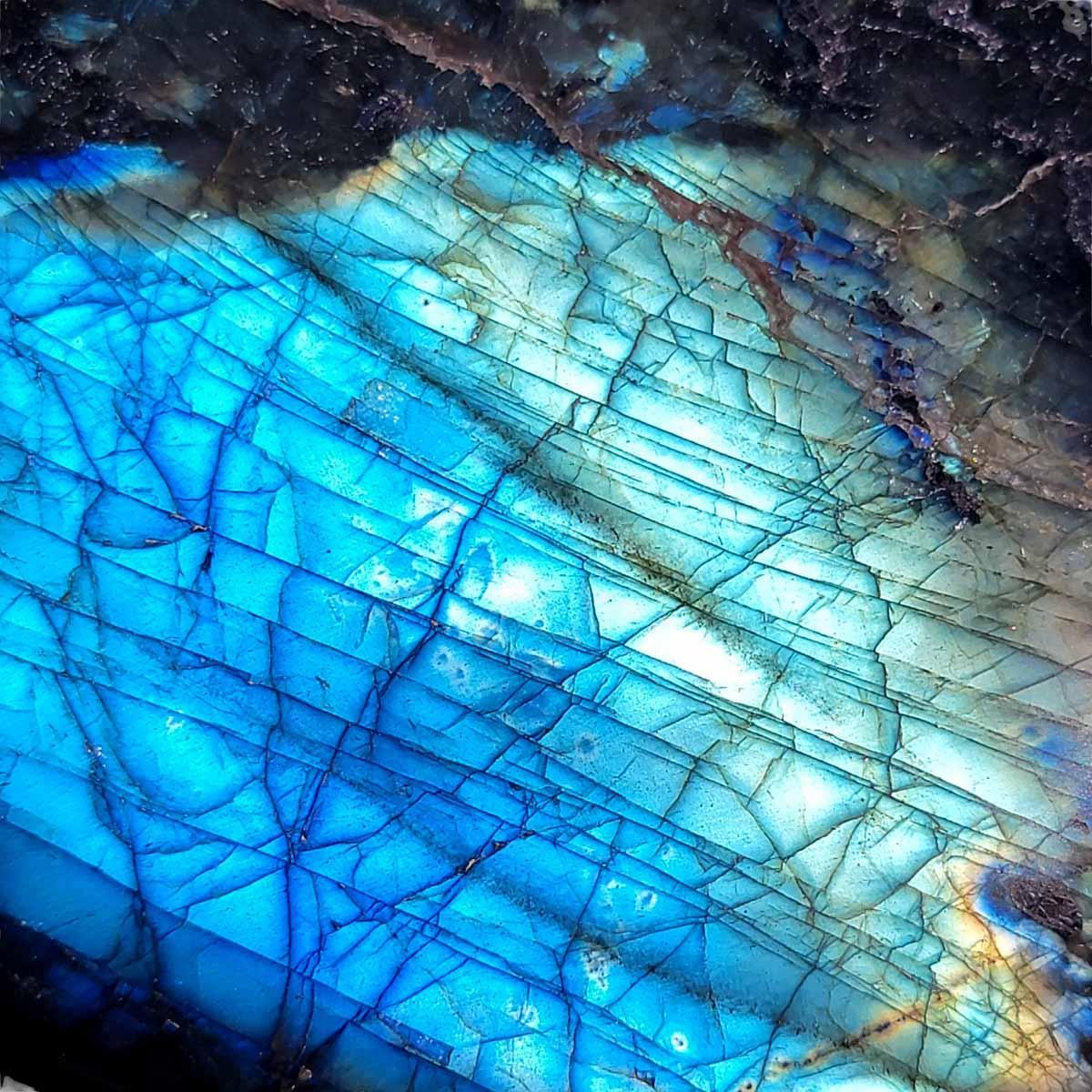 Polished AAA Labradorite Display Specimen! High Grade! - LapidaryCentral