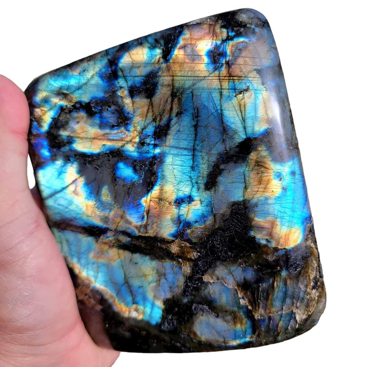 Polished AAA Labradorite Display Specimen! High Grade! - LapidaryCentral