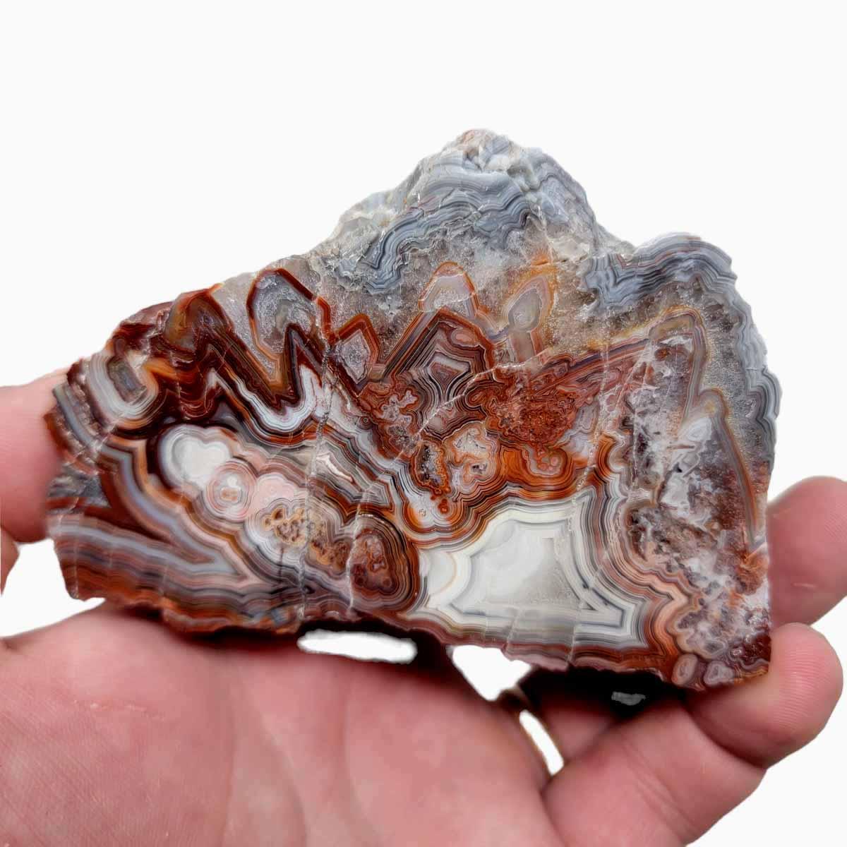 Polished Laguna Lace Agate Display Specimen! - LapidaryCentral