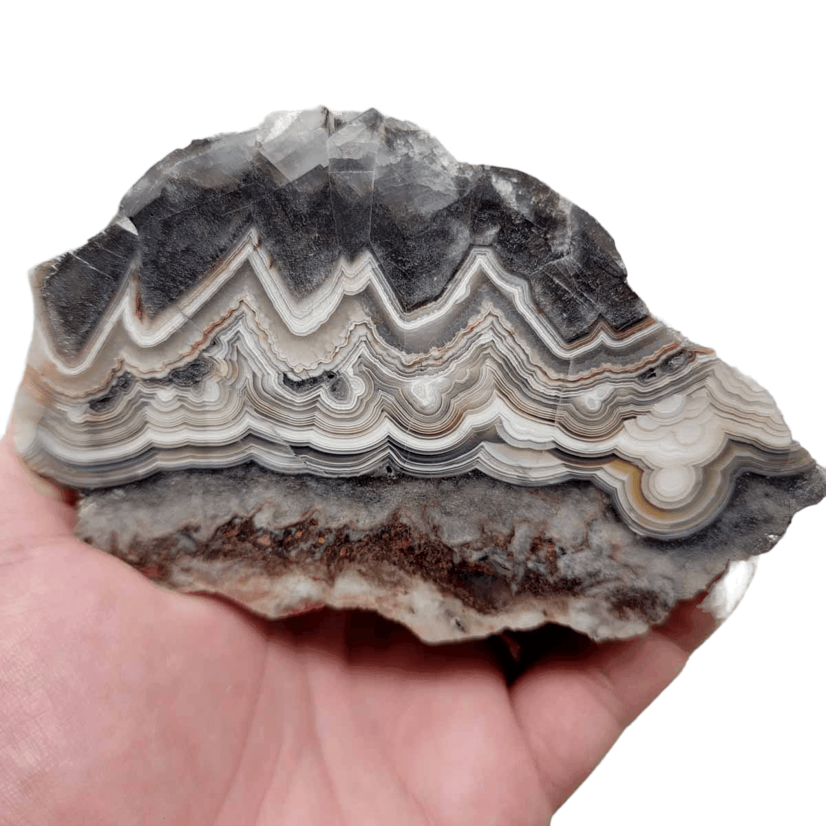 Polished Old Vein Crazy Lace Agate Display Specimen! - LapidaryCentral