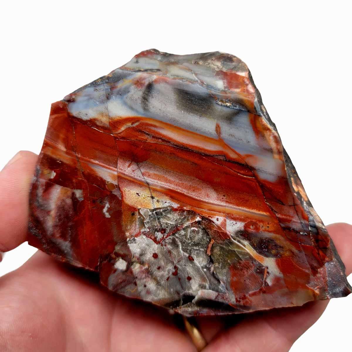 Polished Sarape Jasper Display Specimen! - LapidaryCentral