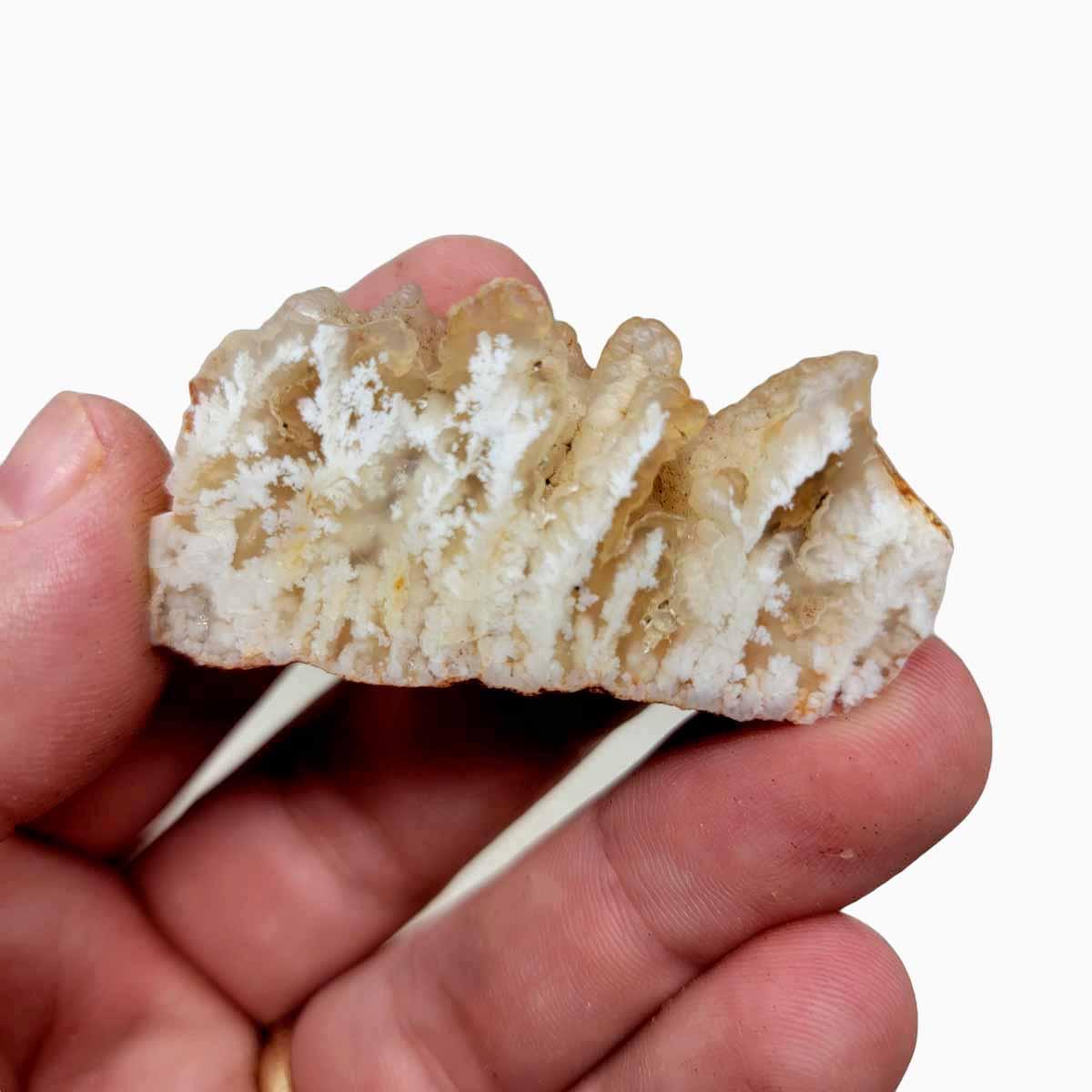 Polished Stinking Water Plume Agate Display Specimen! - LapidaryCentral