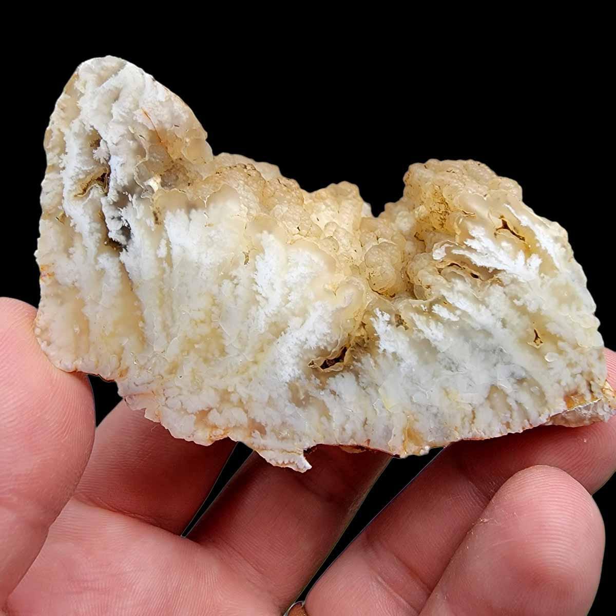 Polished Stinking Water Plume Agate Display Specimen! - LapidaryCentral