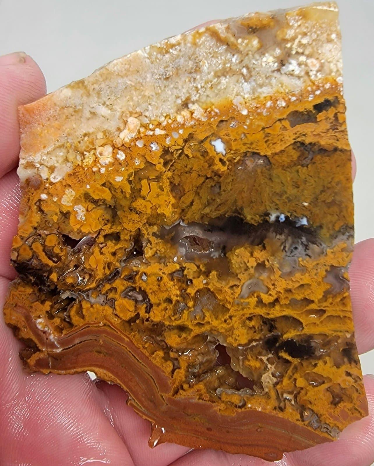 Eagle Rock Plume Agate Slab! Lapidary Stone Slab!