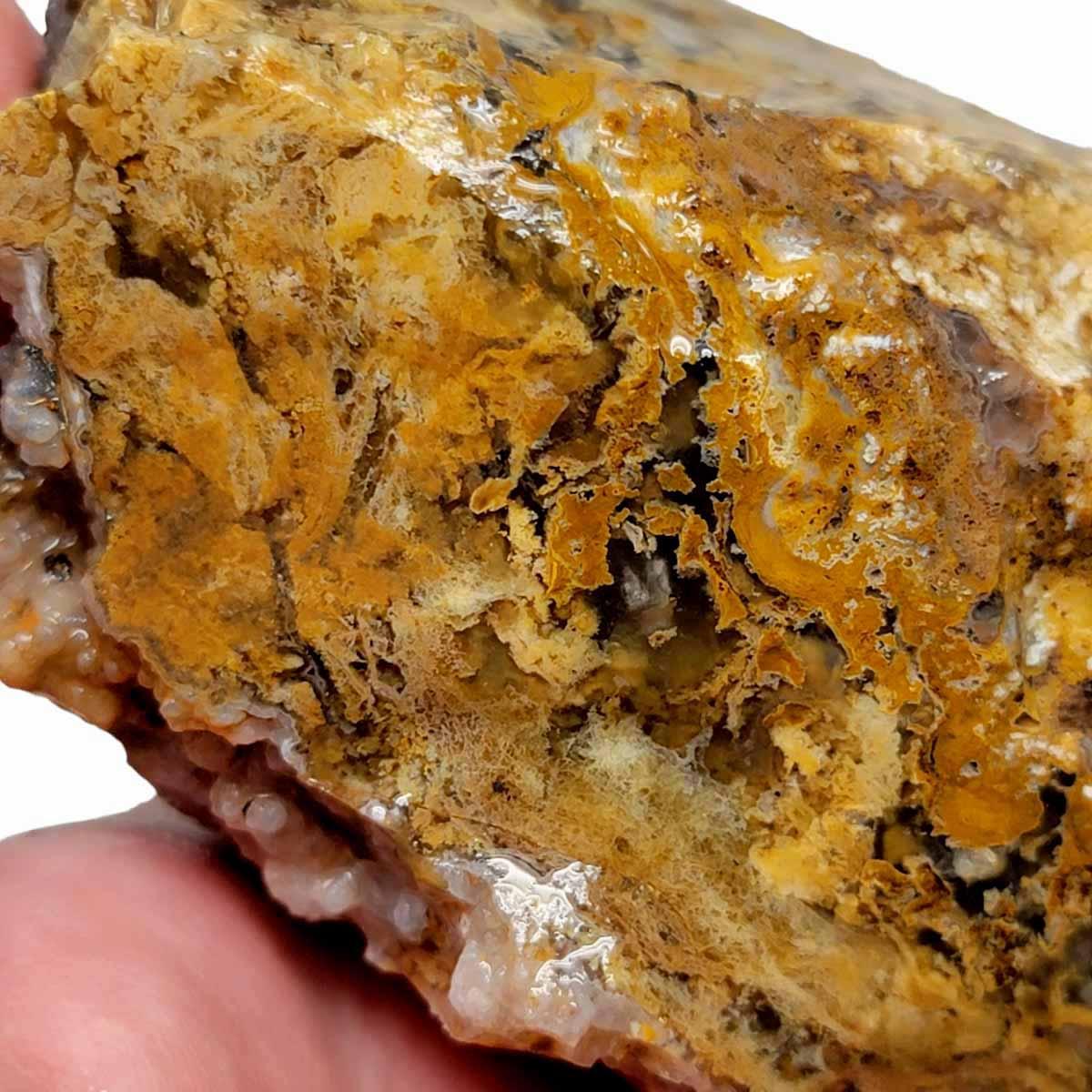 Eagle Rock Plume Agate Rough Chunk!