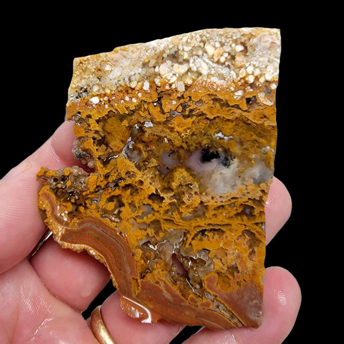 Eagle Rock Plume Agate Slab! Lapidary Stone Slab! - LapidaryCentral