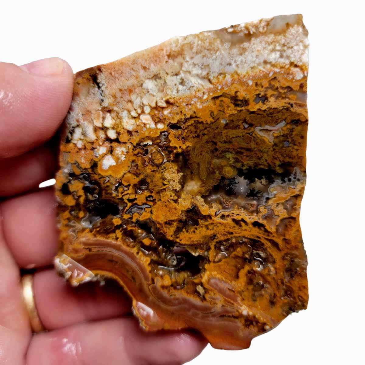 Eagle Rock Plume Agate Slab! Lapidary Stone Slab!