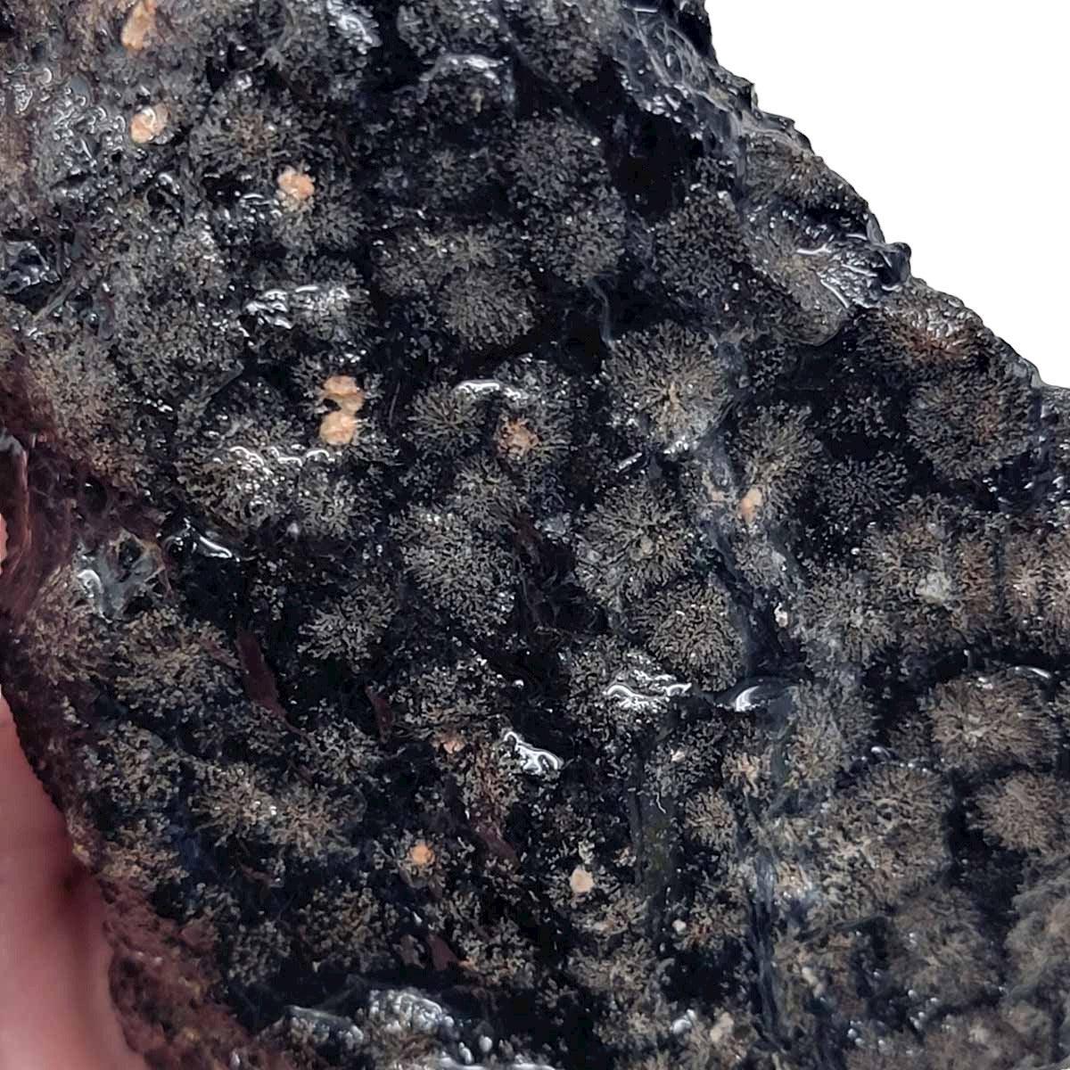Flower/Fireworks Obsidian Rough Chunk! - LapidaryCentral