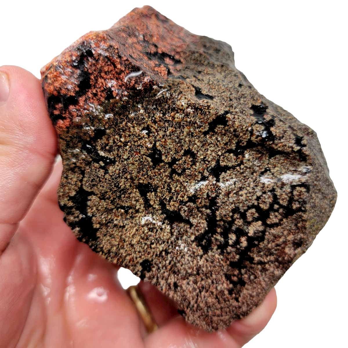 Flower/Fireworks Obsidian Rough Chunk!