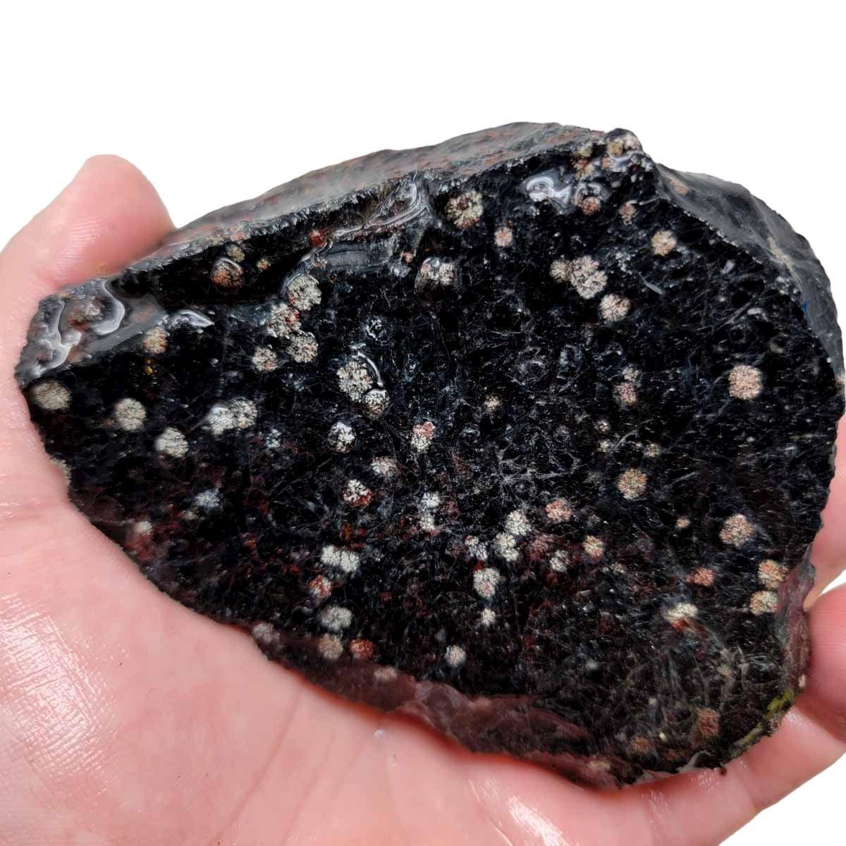Flower/Fireworks Obsidian Rough Chunk! - LapidaryCentral
