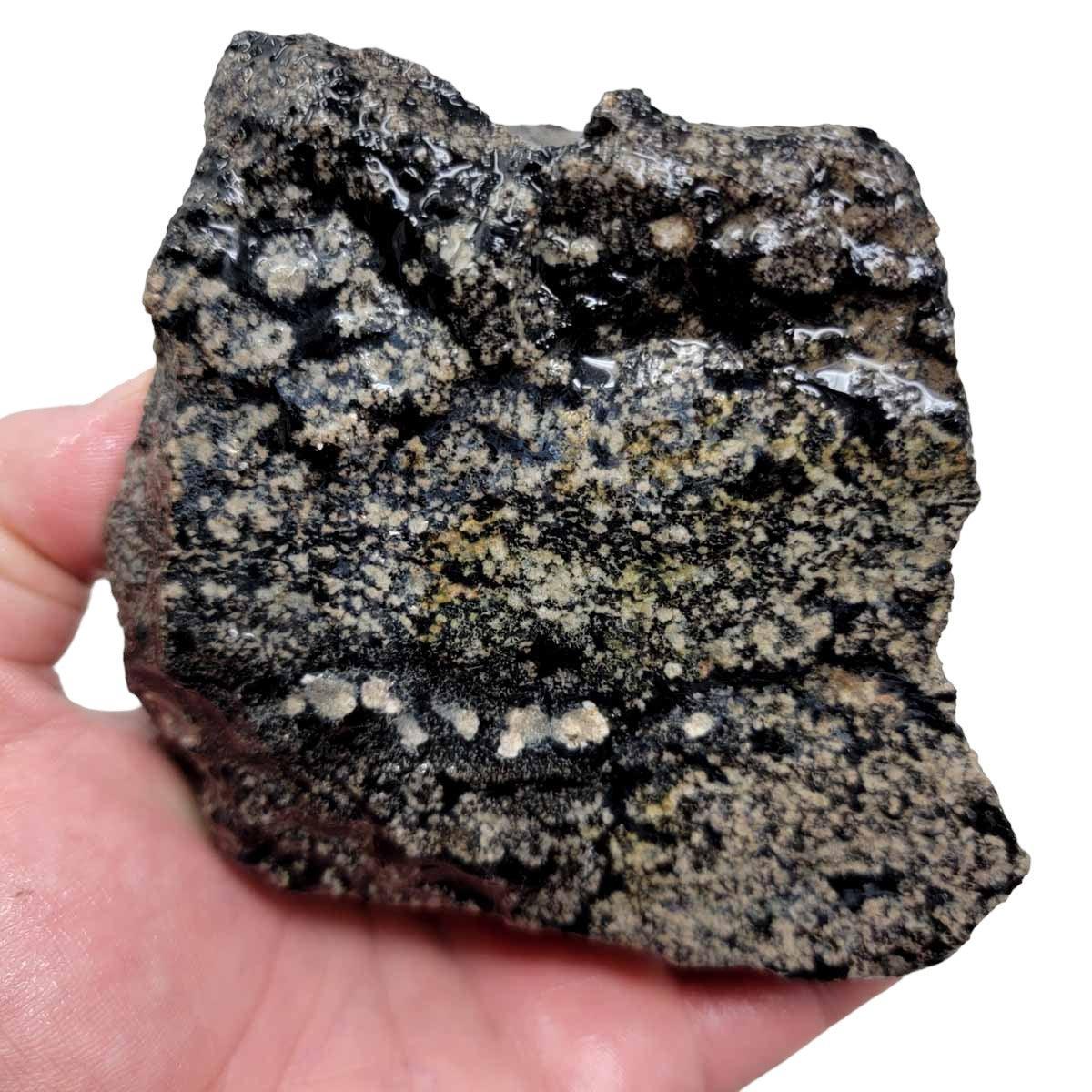 Flower/Fireworks Obsidian Rough Chunk! - LapidaryCentral