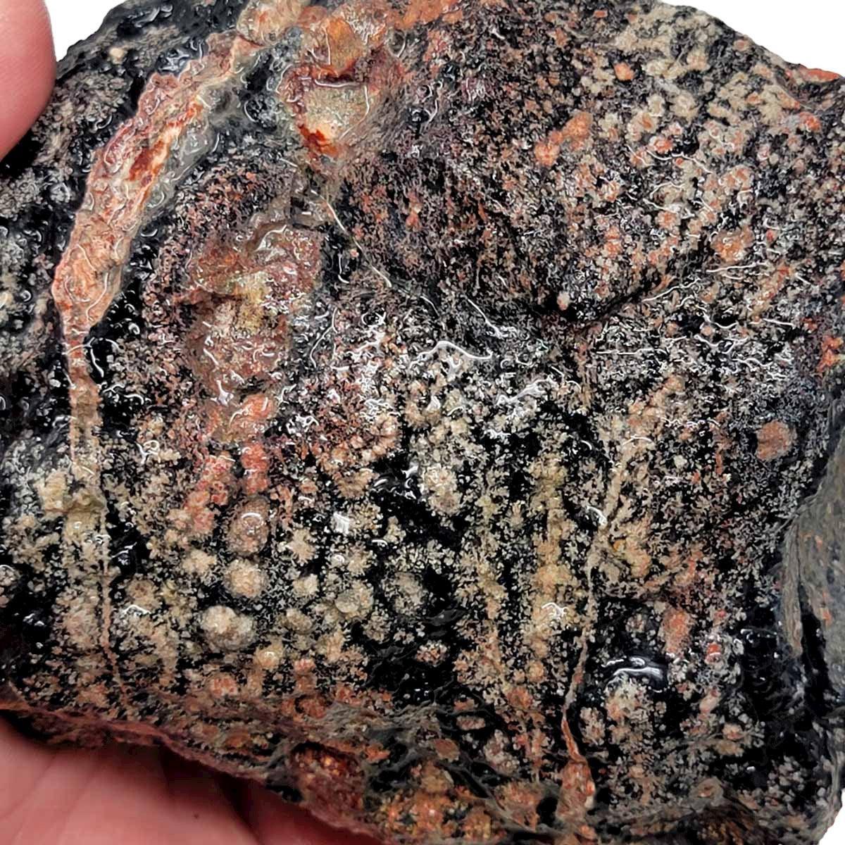 Flower/Fireworks Obsidian Rough Chunk! - LapidaryCentral