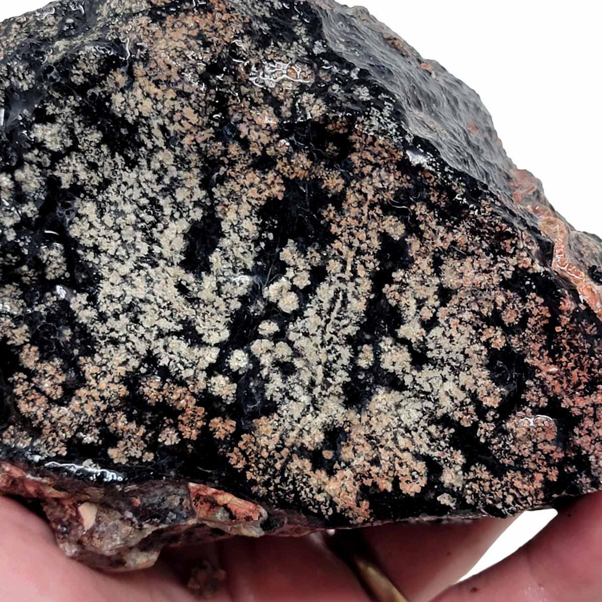 Flower/Fireworks Obsidian Rough Chunk! - LapidaryCentral