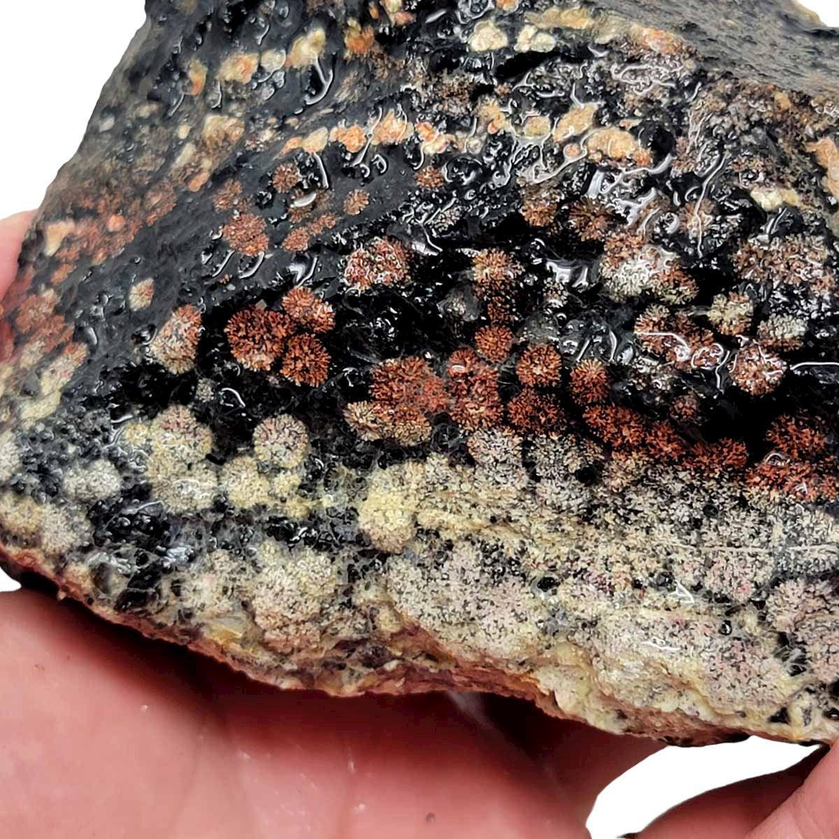Flower/Fireworks Obsidian Rough Chunk! - LapidaryCentral