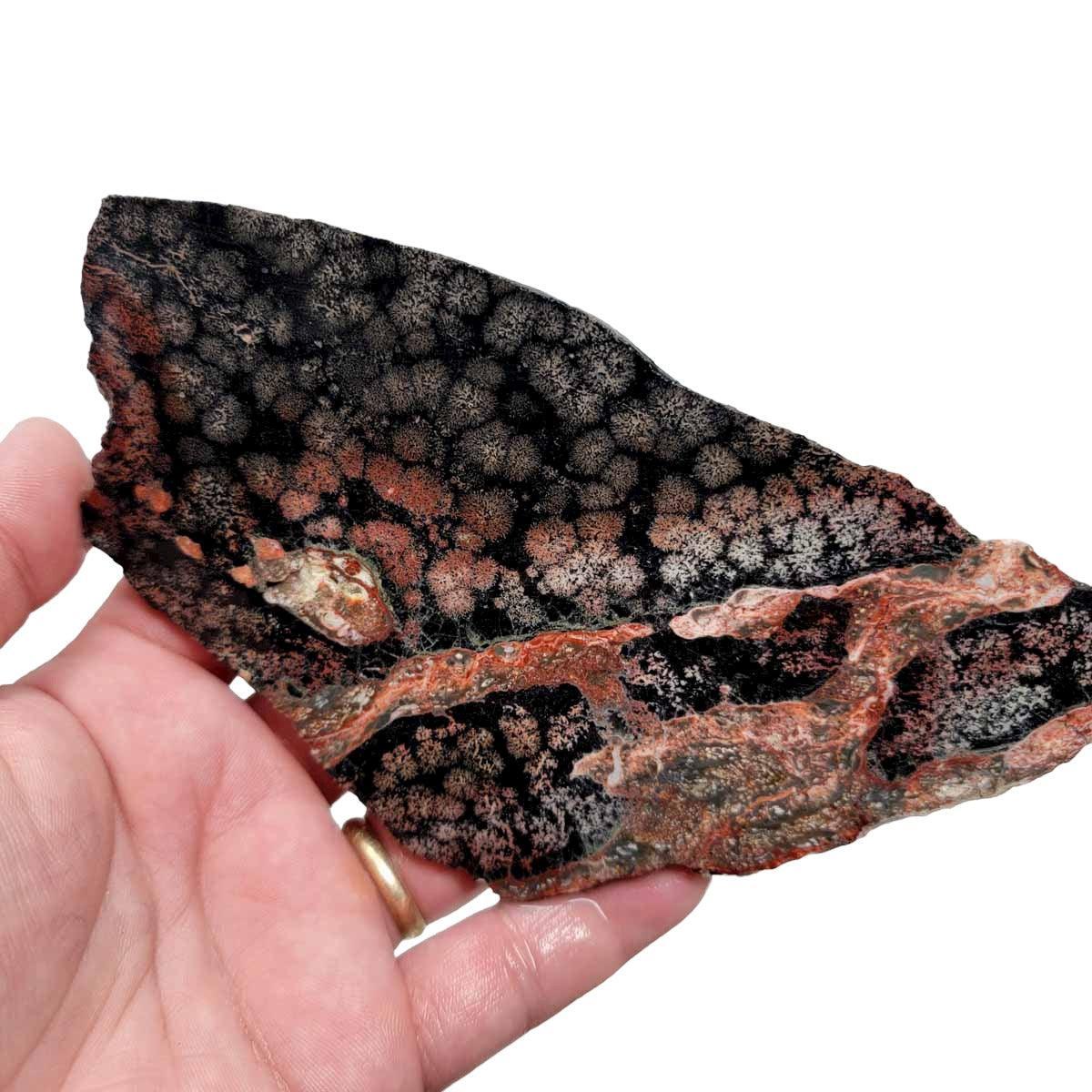 Flower Obsidian Slab! Lapidary Stone Slab! Fireworks Obsidian - LapidaryCentral