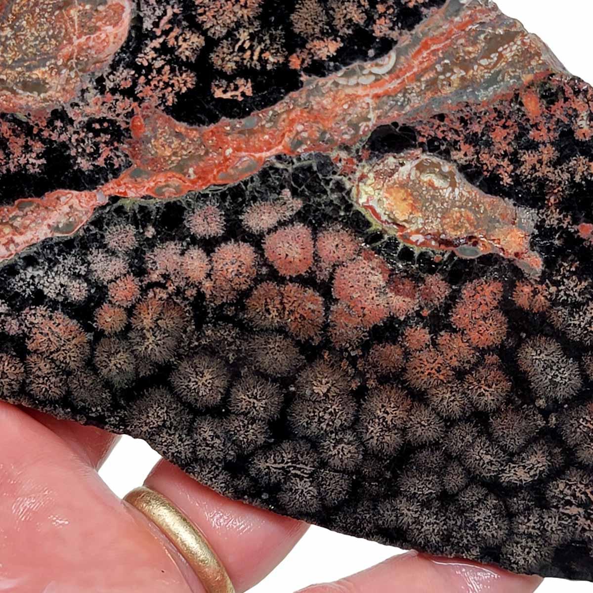 Flower Obsidian Slab! Lapidary Stone Slab! Fireworks Obsidian - LapidaryCentral