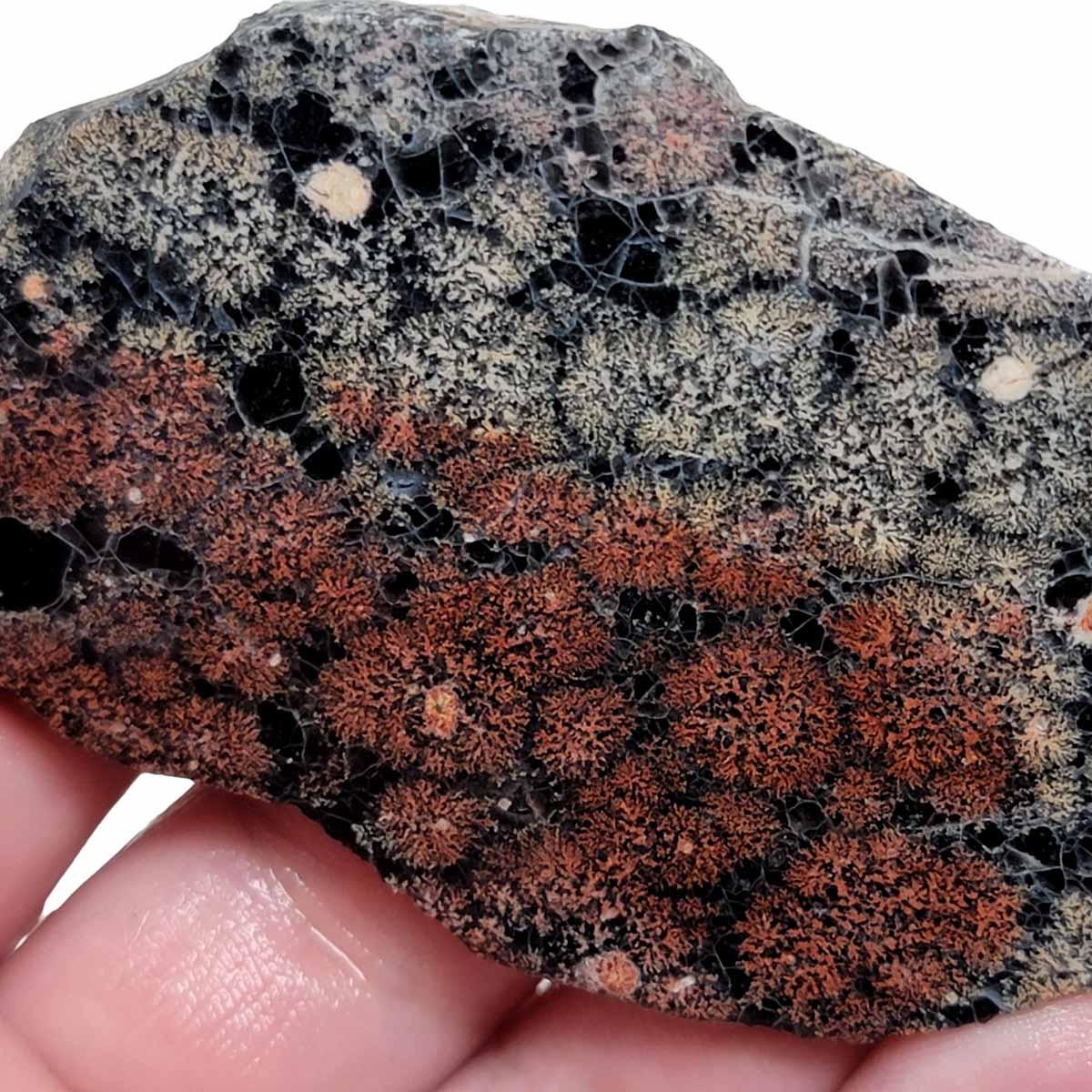 Fireworks Obsidian Slab! Lapidary Stone Slab! Flower Obsidian - LapidaryCentral