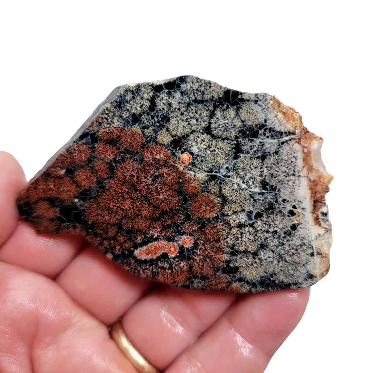 Flower Obsidian Slab! Lapidary Stone Slab! Fireworks Obsidian - LapidaryCentral