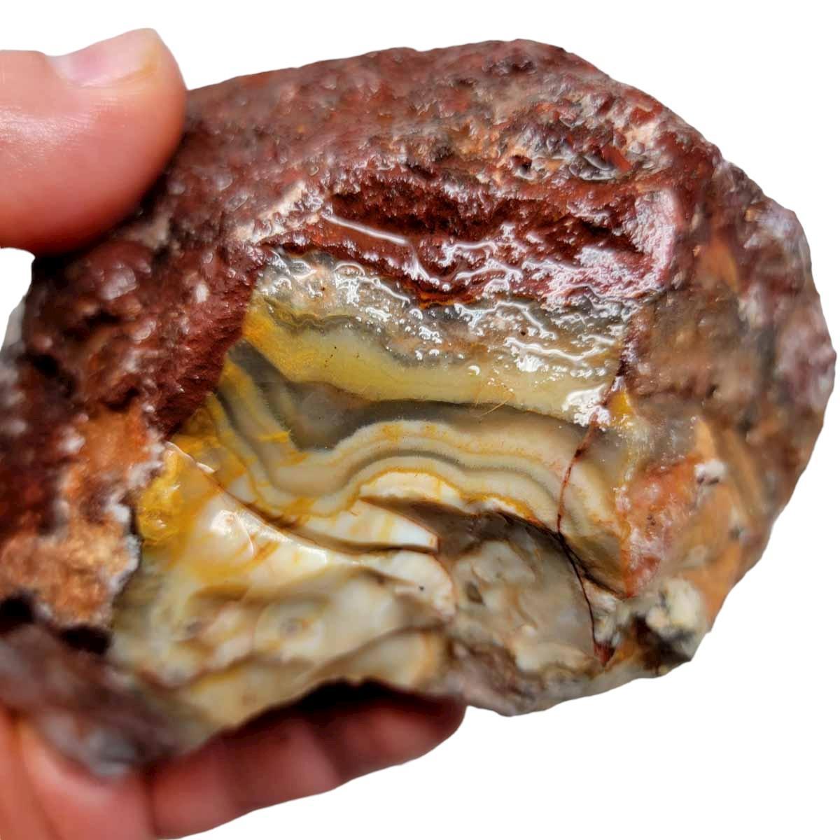 Flor de Durazno Flower of Peach Lace Agate Rough Chunk! - LapidaryCentral