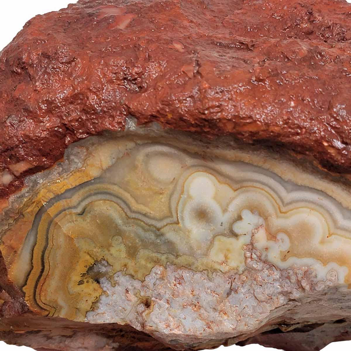 Flor de Durazno Flower of Peach Lace Agate Rough Chunk! - Lapidary Central