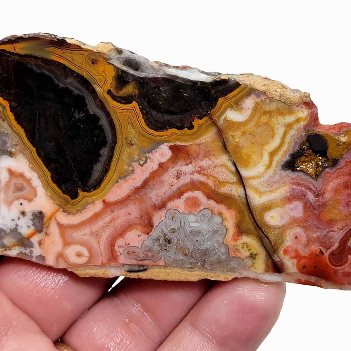 Flor de Durazno Flower of Peach Lace Agate Slab! Lapidary Stone Slab! - LapidaryCentral