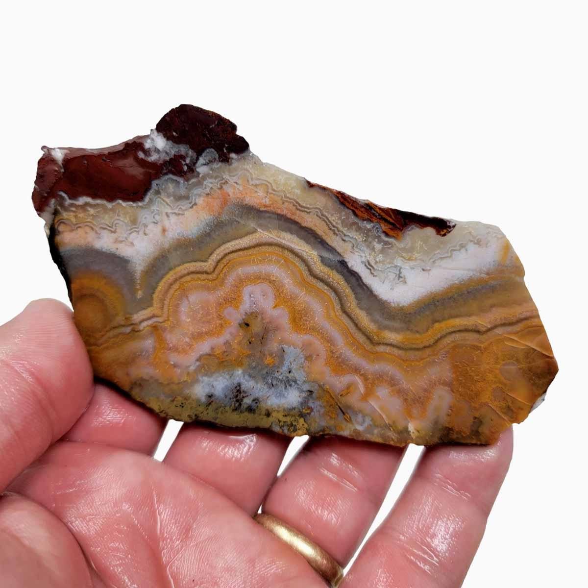 Flor de Durazno Flower of Peach Lace Agate Slab! Lapidary Stone Slab! - LapidaryCentral