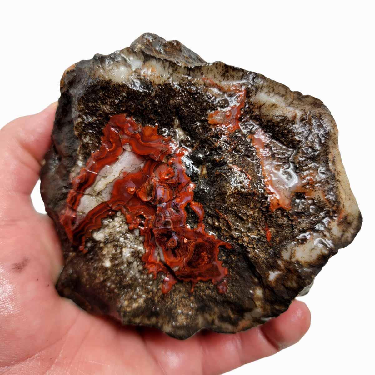 # ALT Text for Coprolite Fossil Dino Poo Rough Chunk