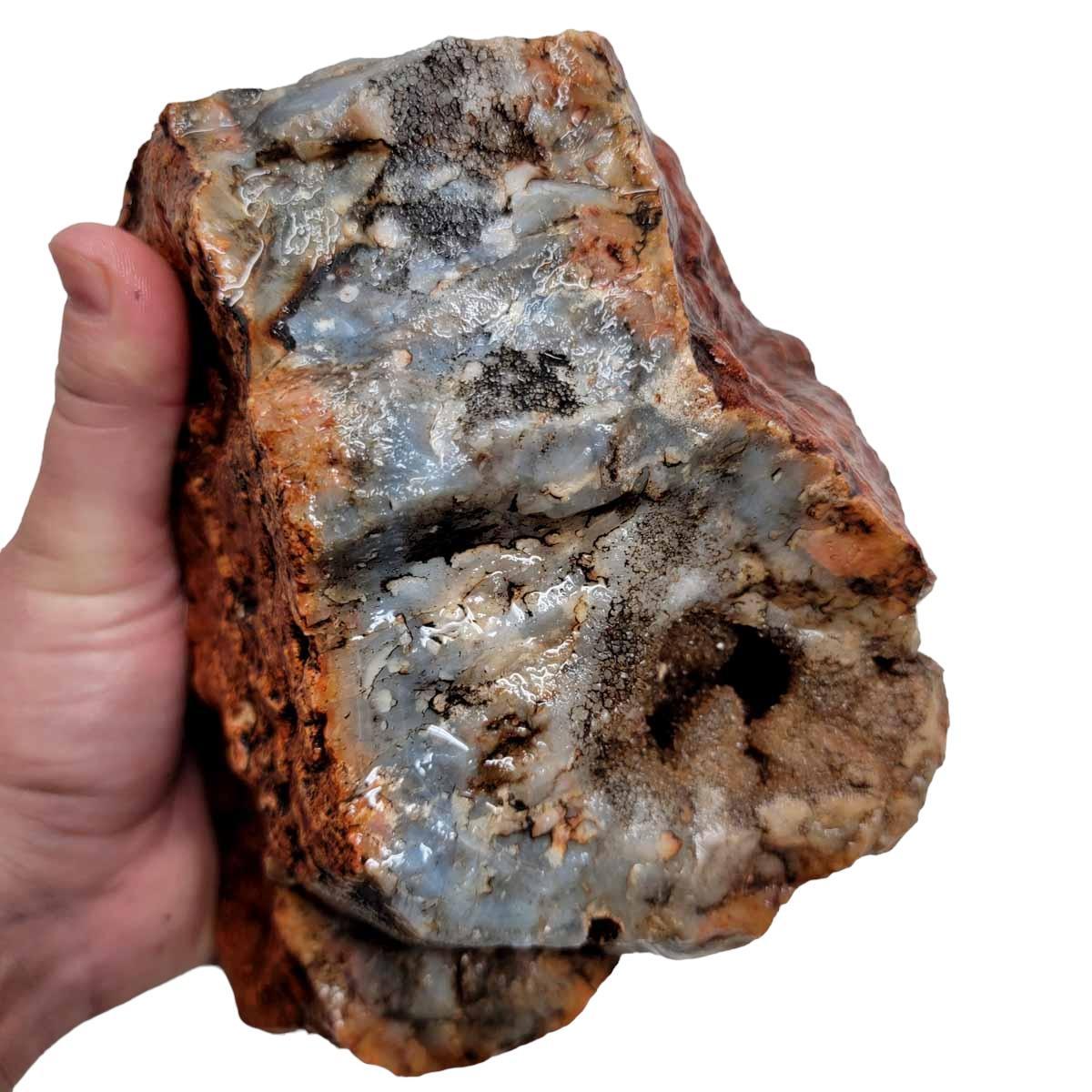 Coprolite Fossil Dino Poo Rough Chunk - Dinosaur Specimen! #R283-Photo1