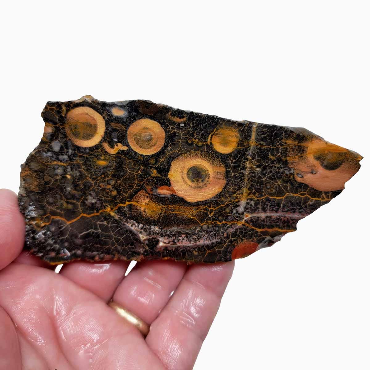 Galaxy Galactica Rhyolite Slab! Lapidary Stone Slab!
