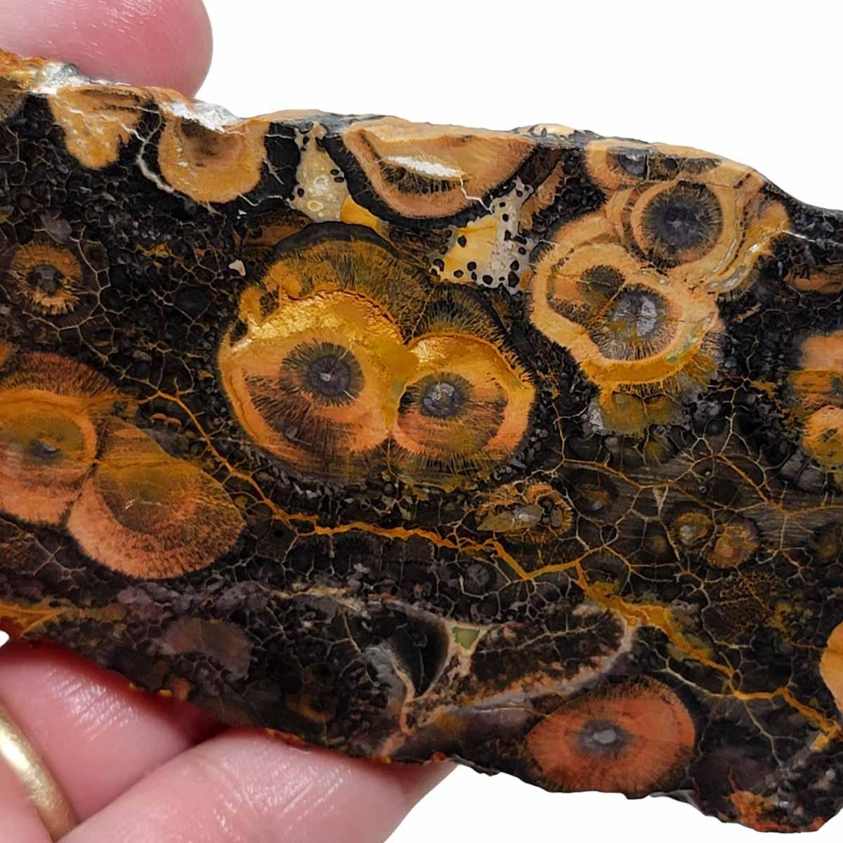 Galaxy Galactica Rhyolite Slab! Lapidary Stone Slab! - LapidaryCentral