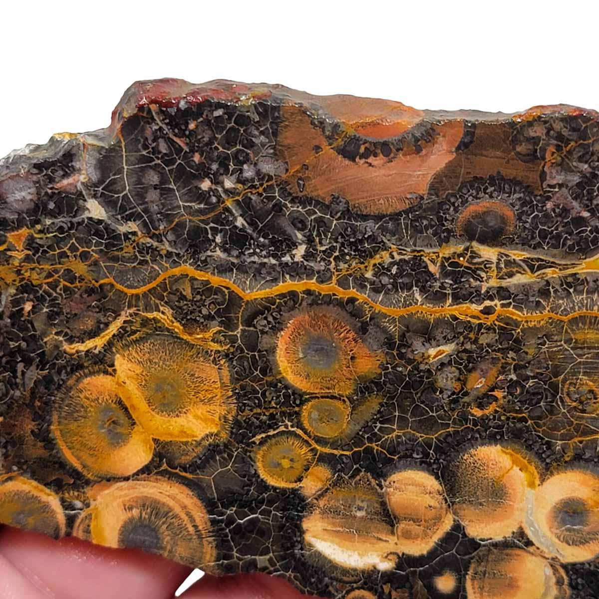 Galaxy Galactica Rhyolite Slab! Lapidary Stone Slab! - LapidaryCentral