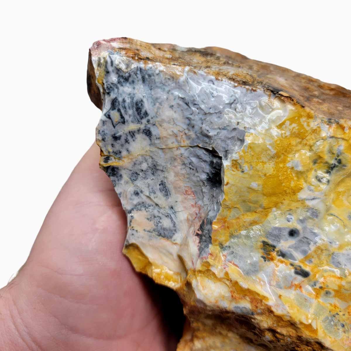 Galaxy Galactica Orbicular Rhyolite Jasper Rough Chunk! - LapidaryCentral