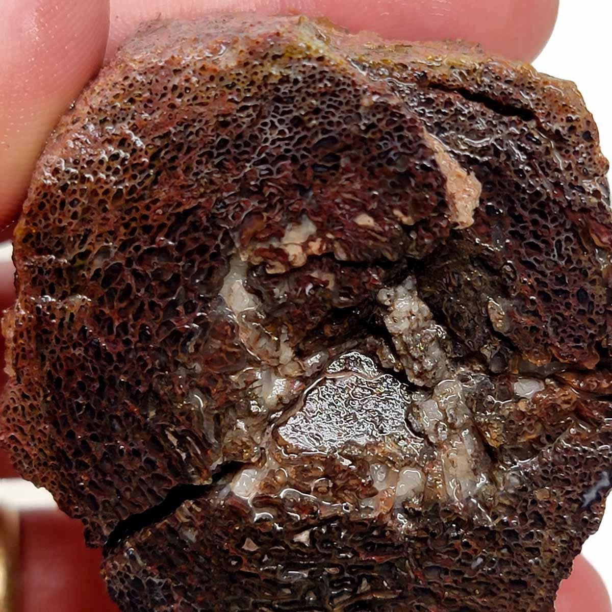 # ALT Text for Product Images