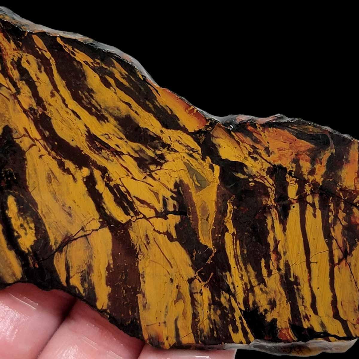 Gold Stripe Kaleidoscope Jasper Slab! Lapidary Stone Slab! - LapidaryCentral