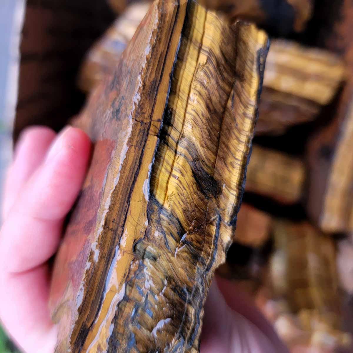 Golden Tiger Eye Cutting Rough Flatrate! - LapidaryCentral