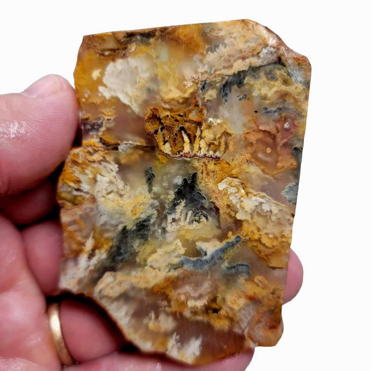 Graveyard Point Plume Agate Slab! Old Stock Lapidary Slab! - LapidaryCentral