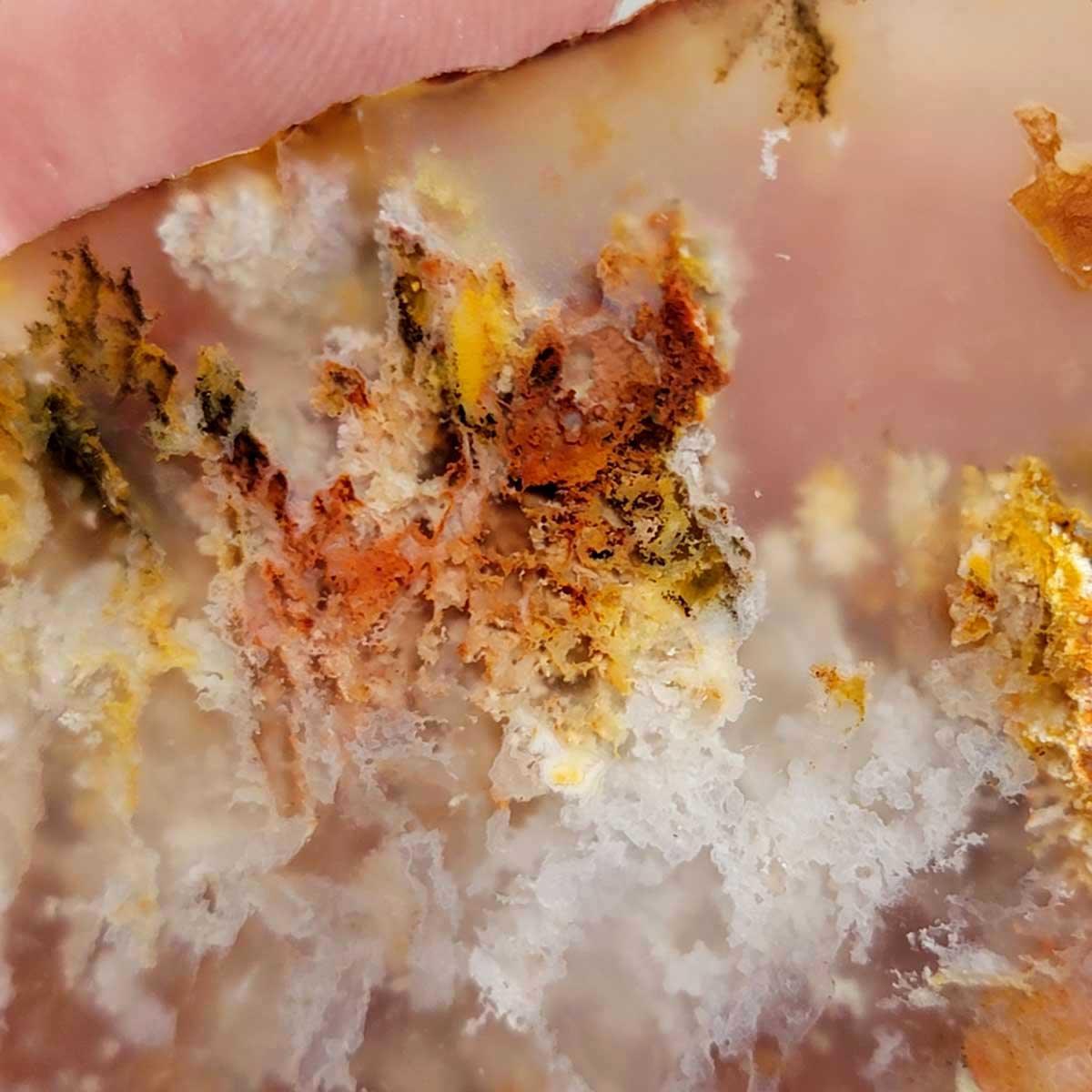 Regency Rose Plume Agate Slab! Old Stock Lapidary Slab! - LapidaryCentral