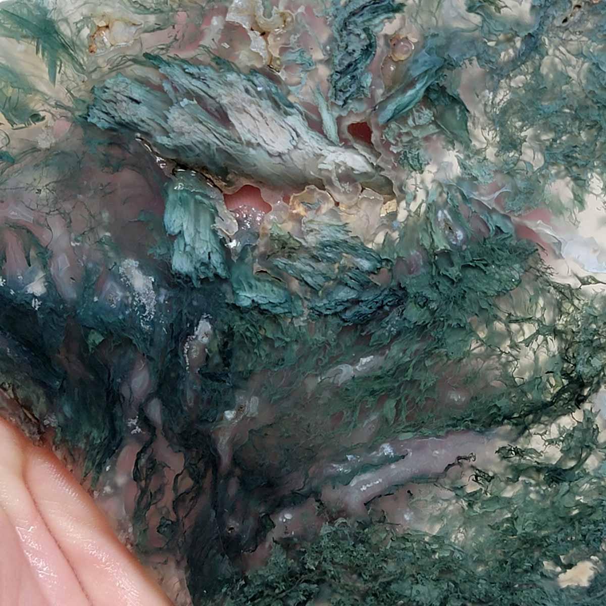 Horse Canyon Moss Agate Slab! California Moss Agate! - LapidaryCentral