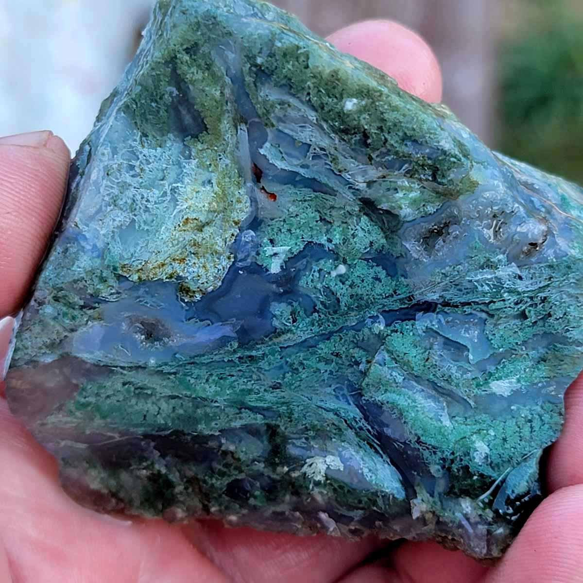 One Lbs Random Pull India Tree Agate Tumbling Trimmer Rough! - LapidaryCentral