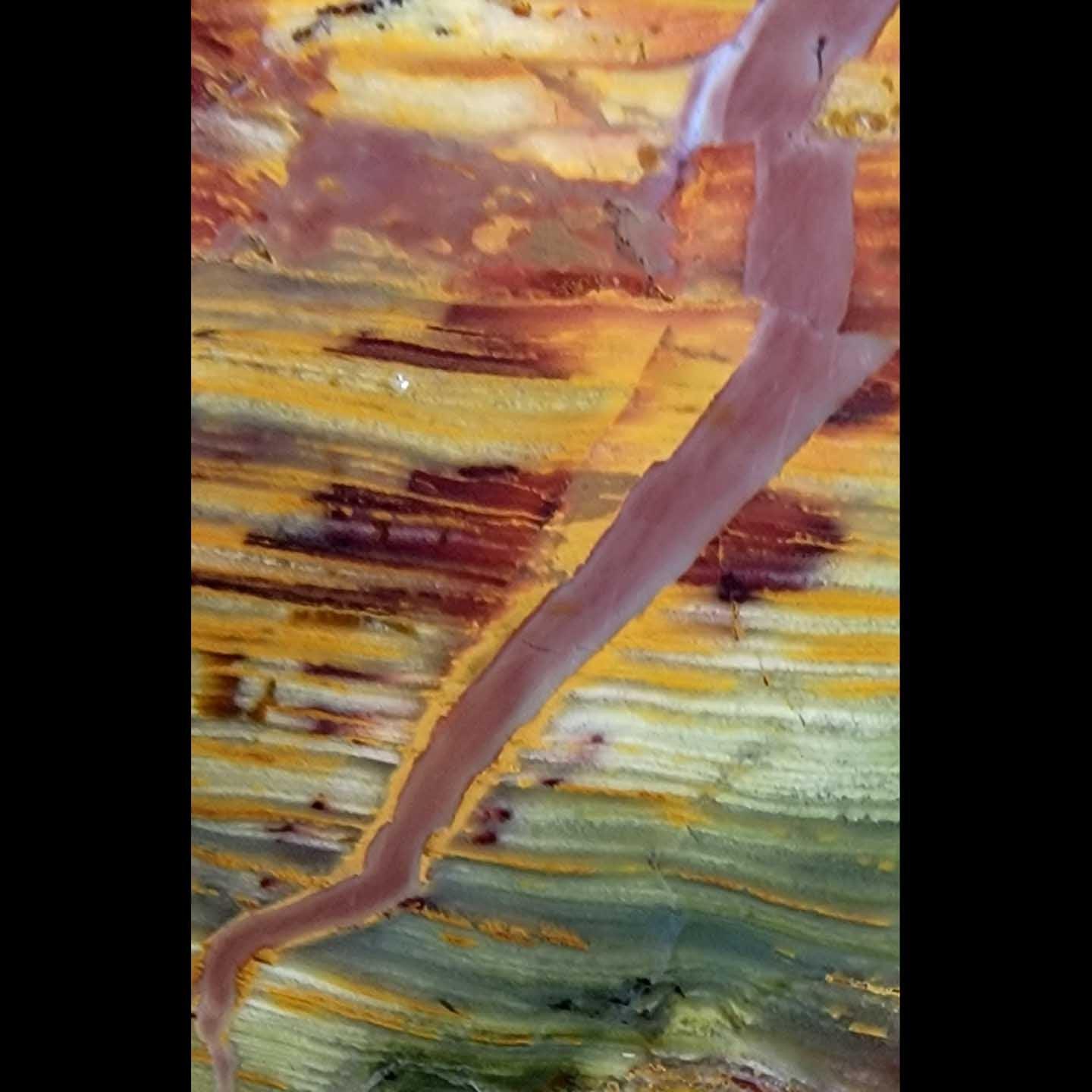 New Vein Kaleidoscope Jasper Slab! Lapidary Stone Slab! - LapidaryCentral