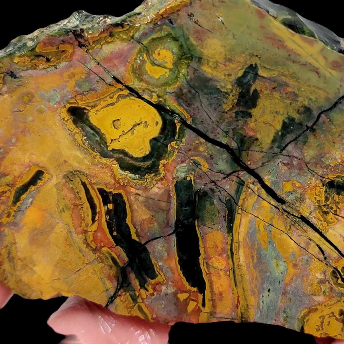 Psychedelic Kaleidoscope Jasper Slab! Lapidary Stone Slab! - LapidaryCentral