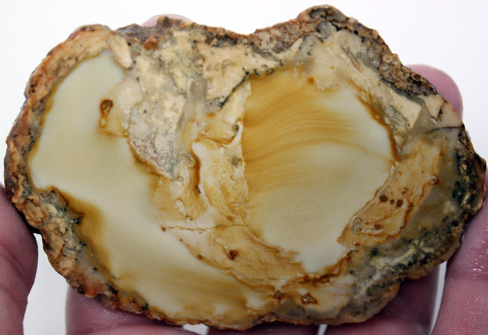 White Fir Springs Thunderegg! Jasper Rhyolite Filled Thunderegg! - LapidaryCentral