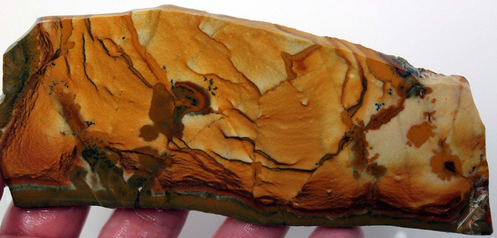 Old stock rocky butte picture jasper slab! lapidary stone slab! - LapidaryCentral