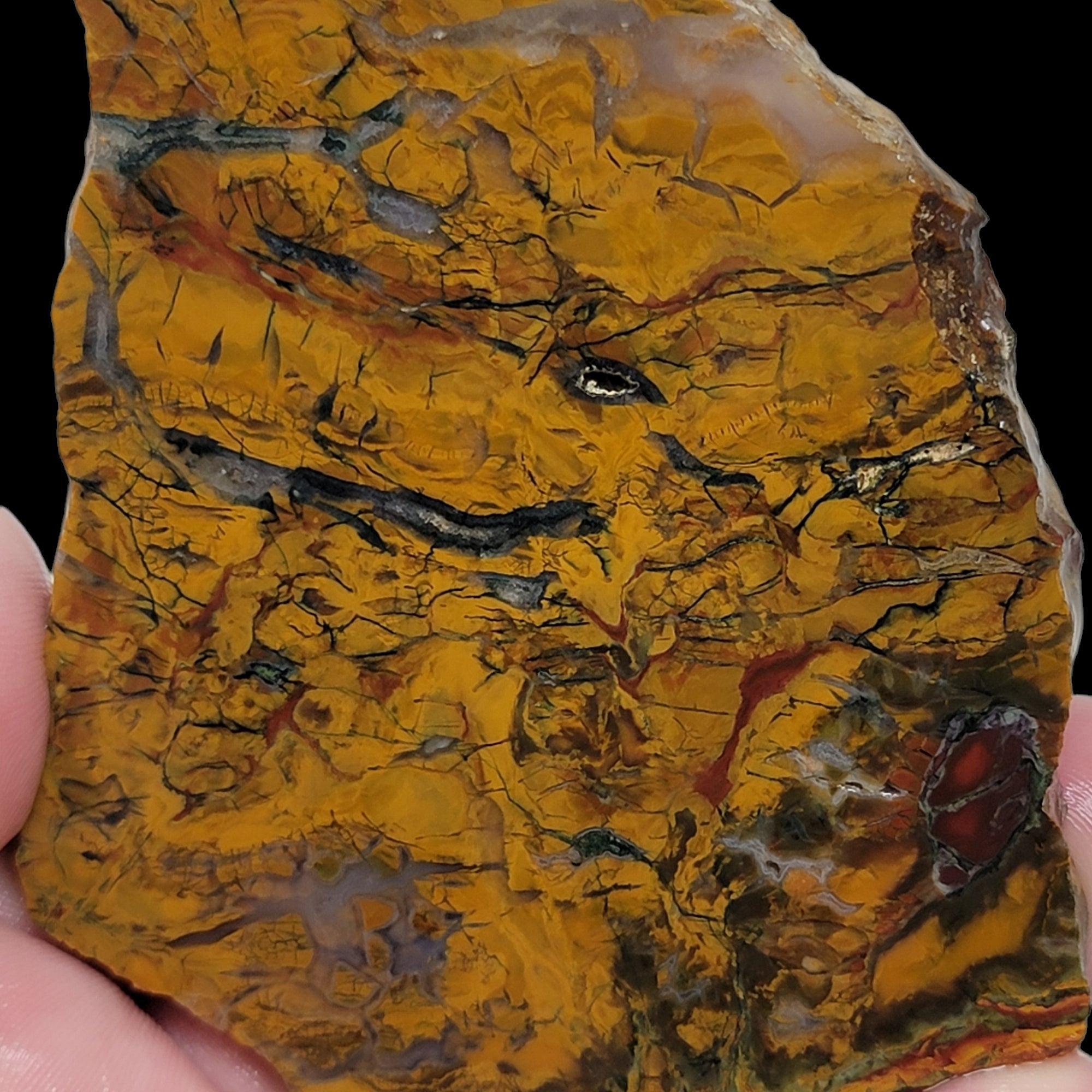 Brecciated Kaleidoscope Jasper Slab! Lapidary Stone Slab! - LapidaryCentral