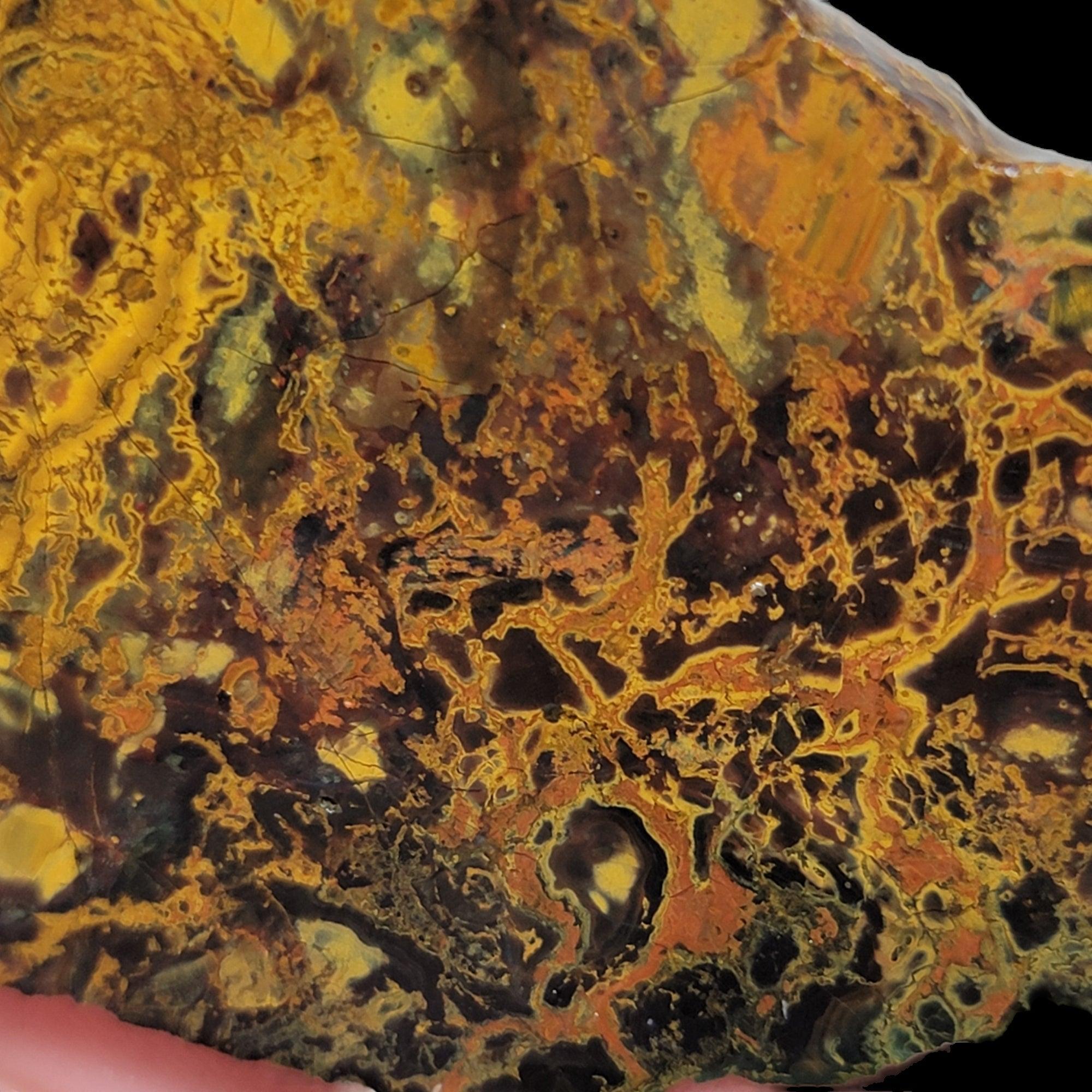 Jurassic Jasper Kaleidoscope Jasper Slab! Lapidary Stone Slab!