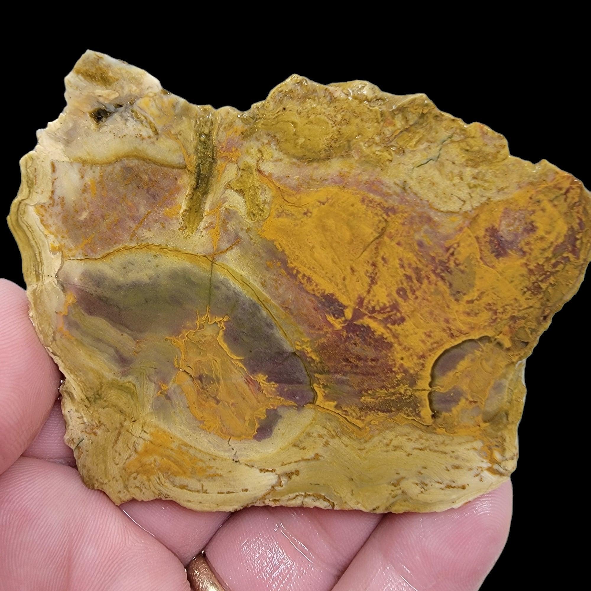 Kaleidoscope Jasper Slab! Lapidary Stone Slab! - LapidaryCentral