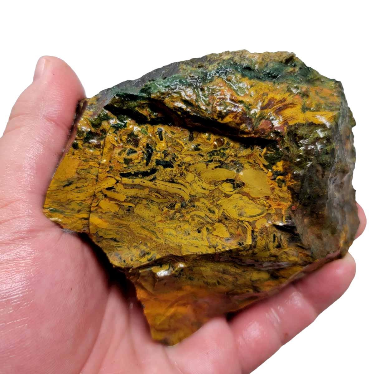 Kaleidoscope Jasper Rough Chunk!