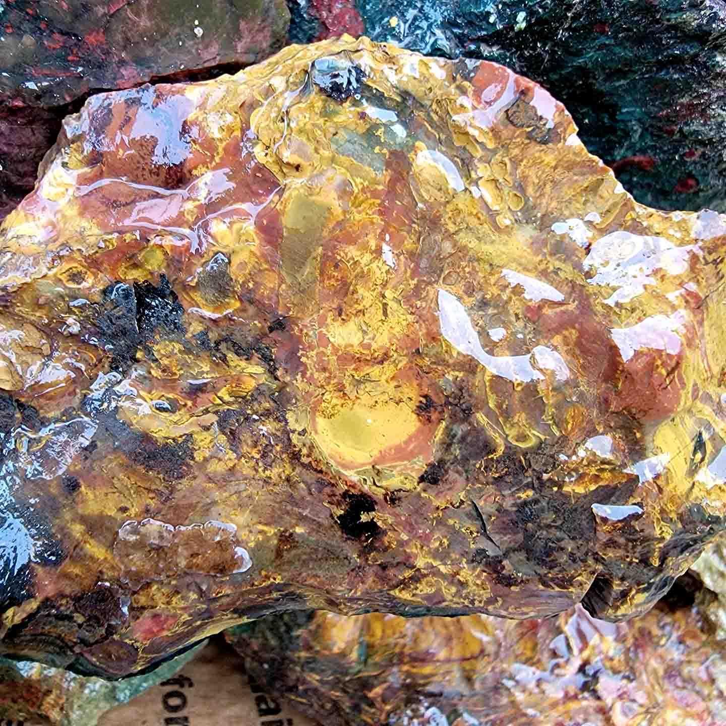 Kaleidoscope Jasper Cutting Trimmer Rough Flatrate!
